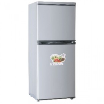 Polystar Refrigerator (PV-DD270L)